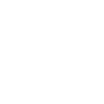 Arbutus Medical