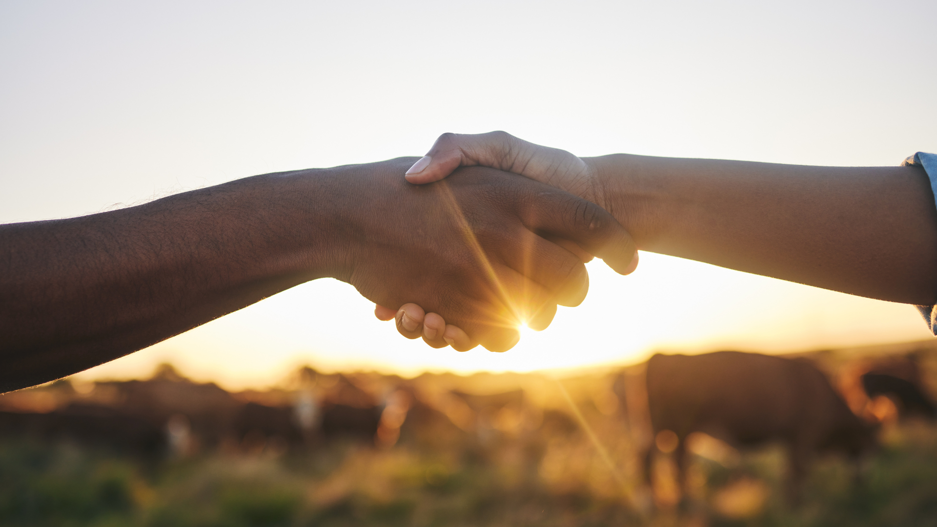 strengthening-your-supply-chain